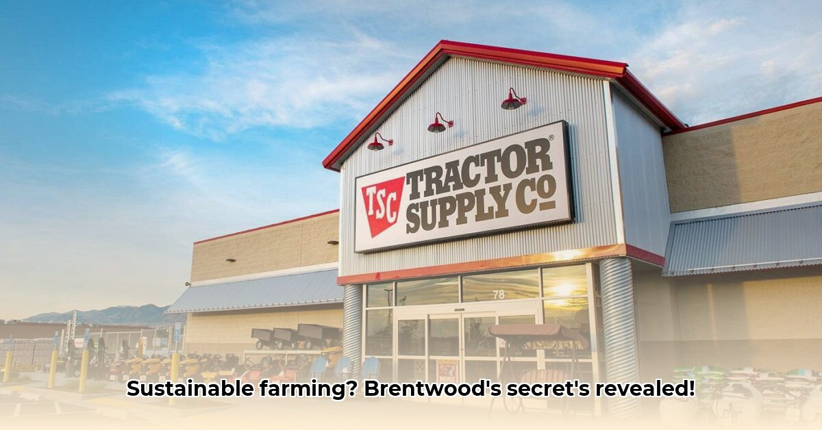 tractor-supply-brentwood-new-hampshire